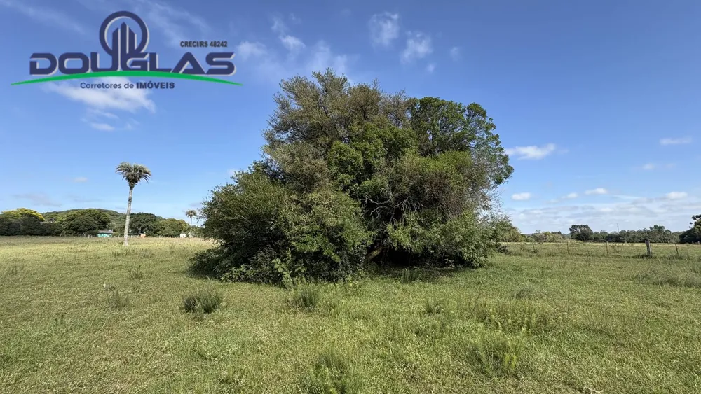 Terreno, 6 hectares - Foto 11