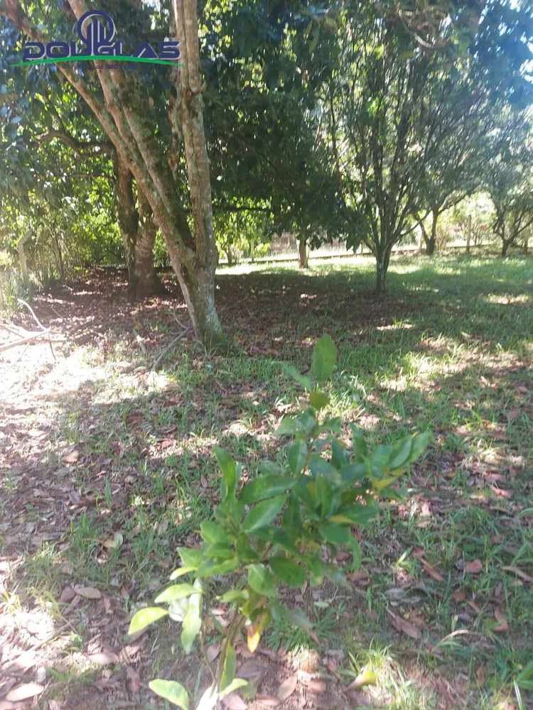 Terreno, 600 m² - Foto 8