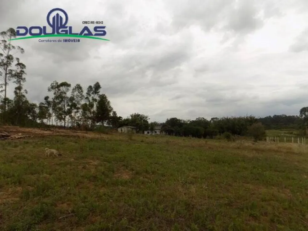 Terreno - Foto 5