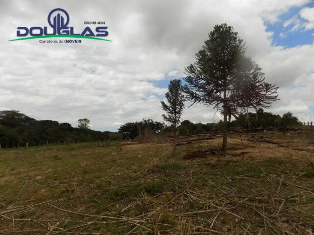 Terreno - Foto 2