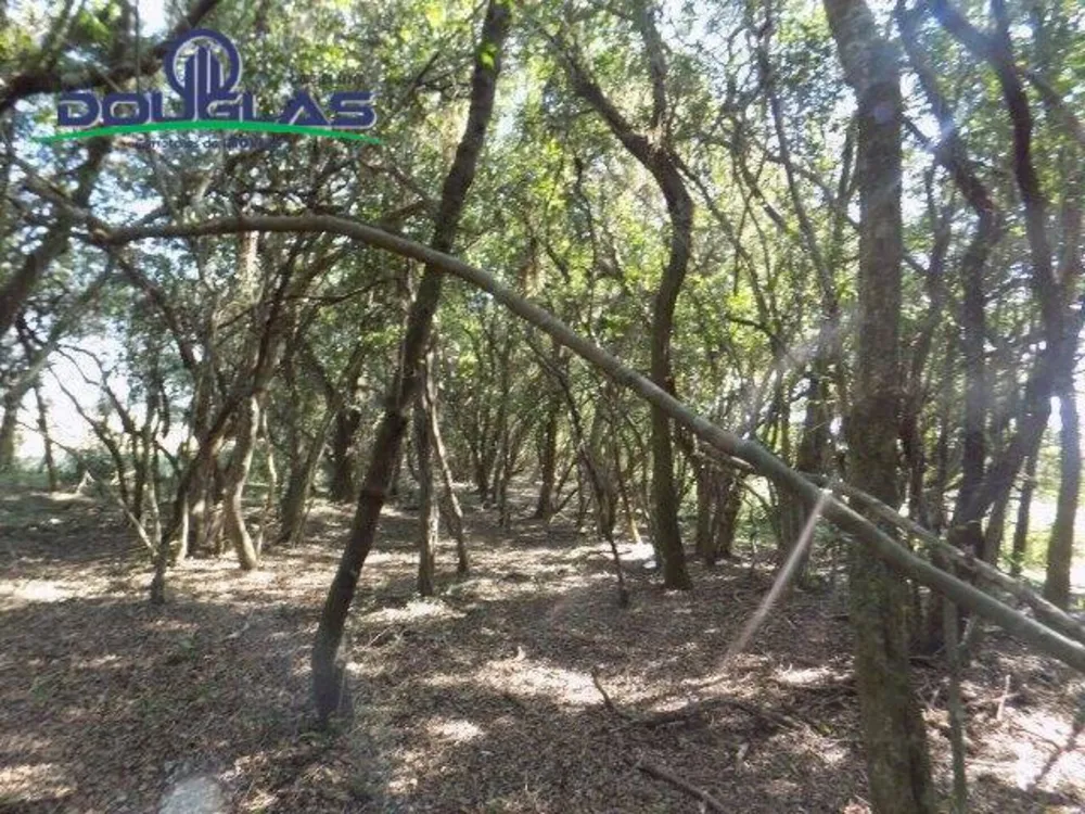 Terreno, 2 hectares - Foto 1