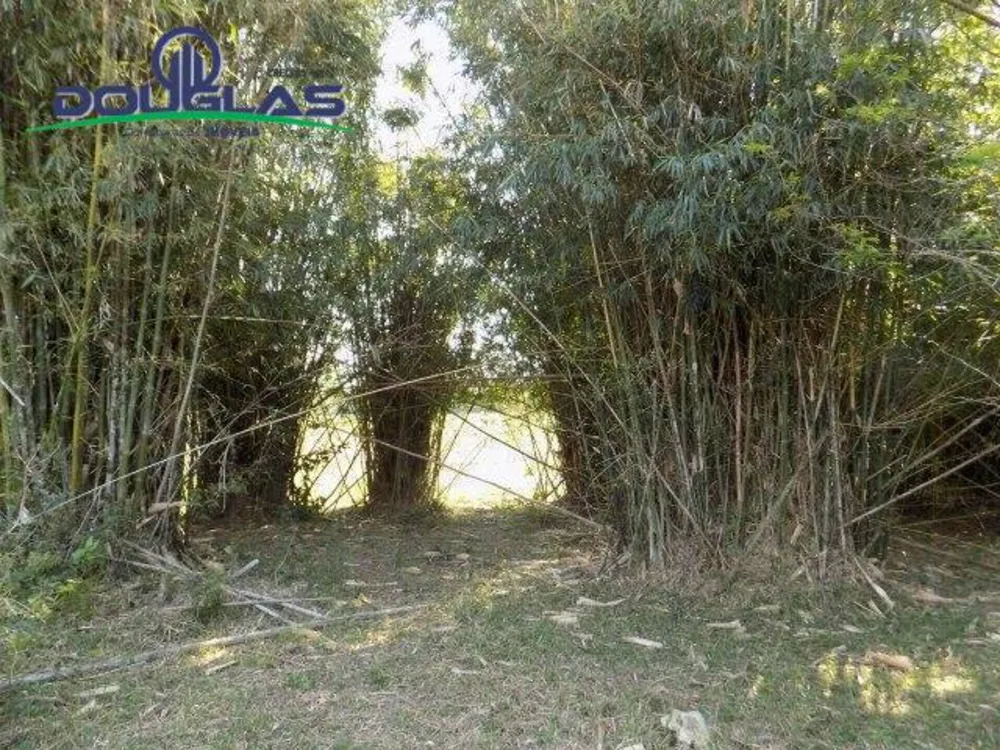 Terreno, 2 hectares - Foto 7