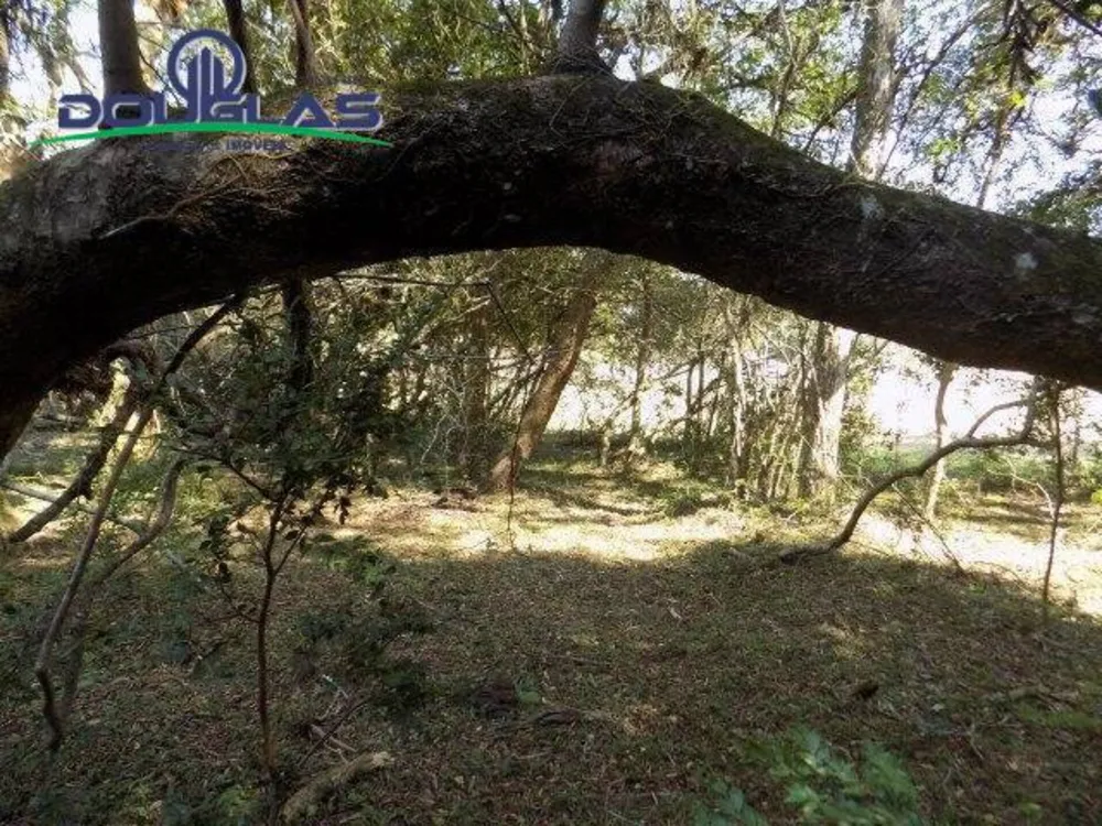 Terreno, 2 hectares - Foto 2
