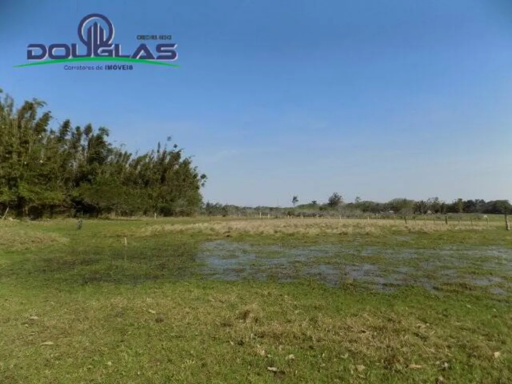 Terreno, 2 hectares - Foto 6