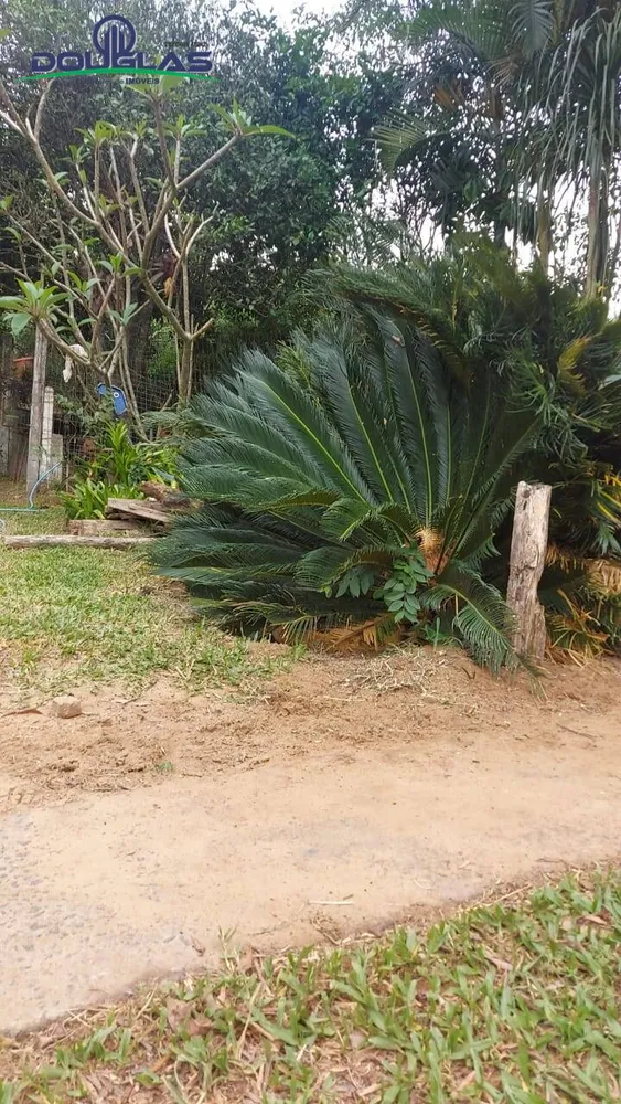 Terreno - Foto 1
