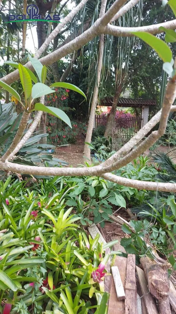 Terreno - Foto 3