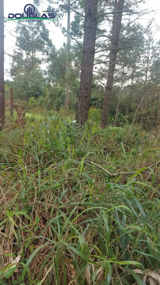 Terreno - Foto 1