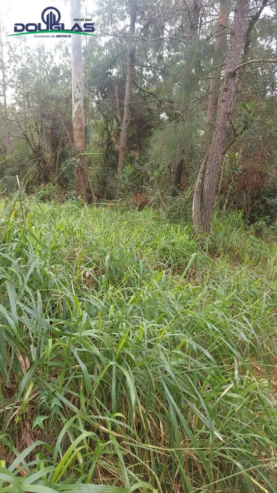 Terreno - Foto 2