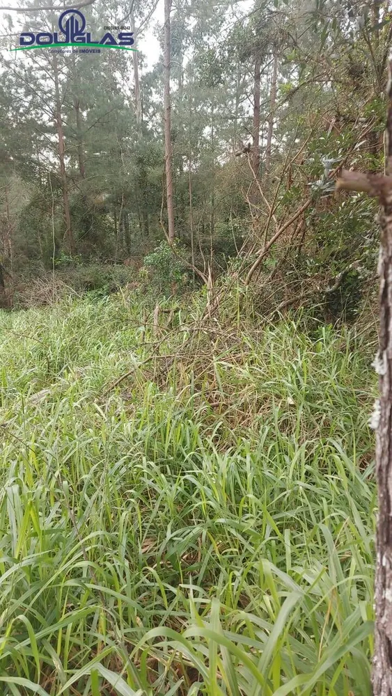 Terreno - Foto 7