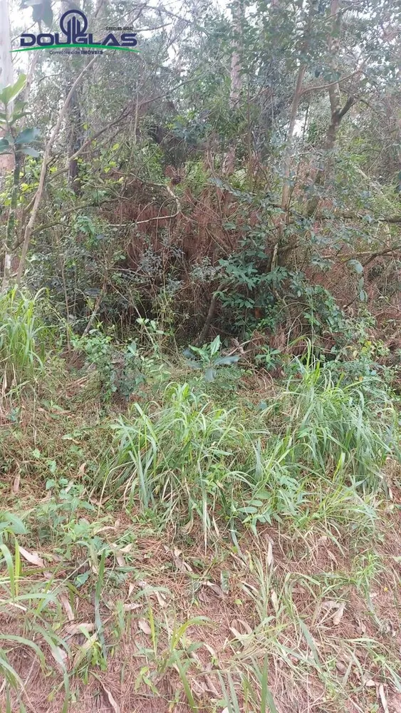 Terreno - Foto 5