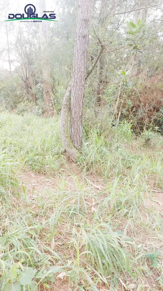 Terreno - Foto 3