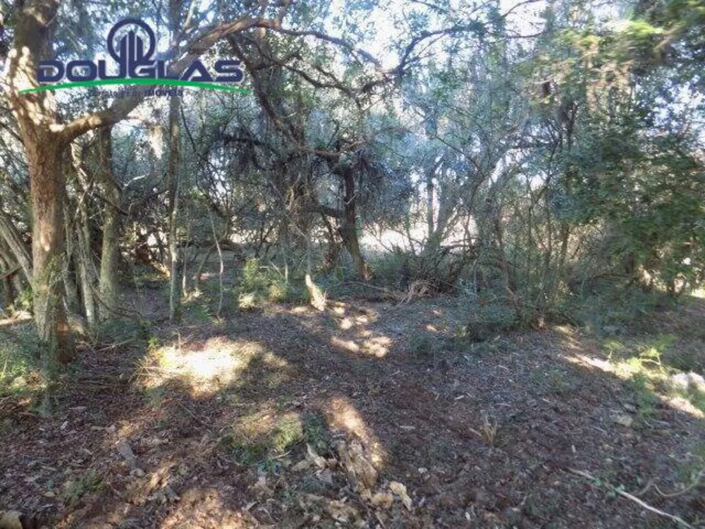 Terreno, 8 m² - Foto 6