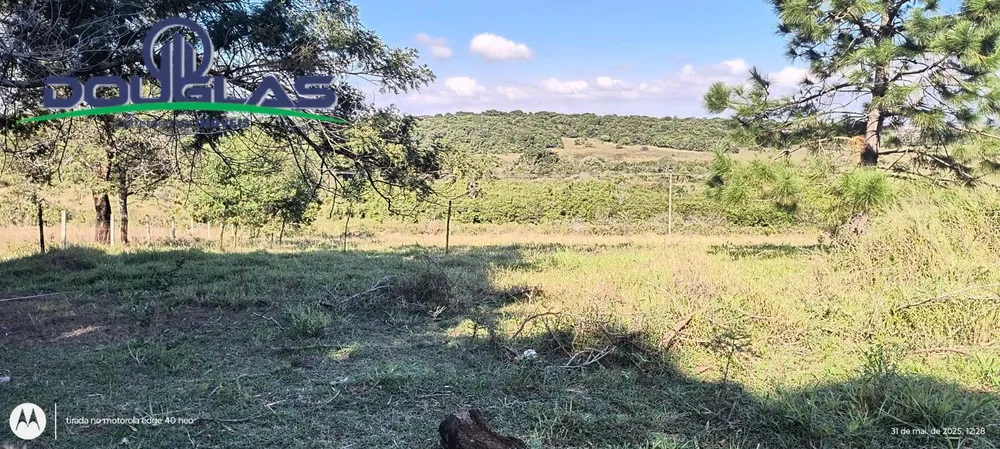 Terreno, 2 hectares - Foto 4