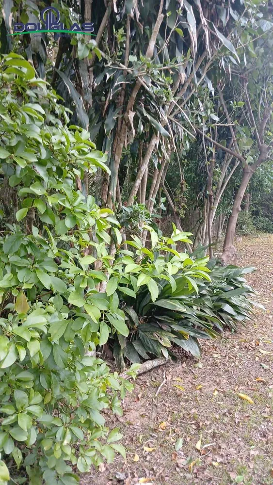 Terreno, 600 m² - Foto 3