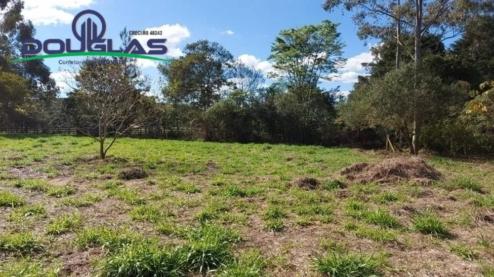 Terreno - Foto 4