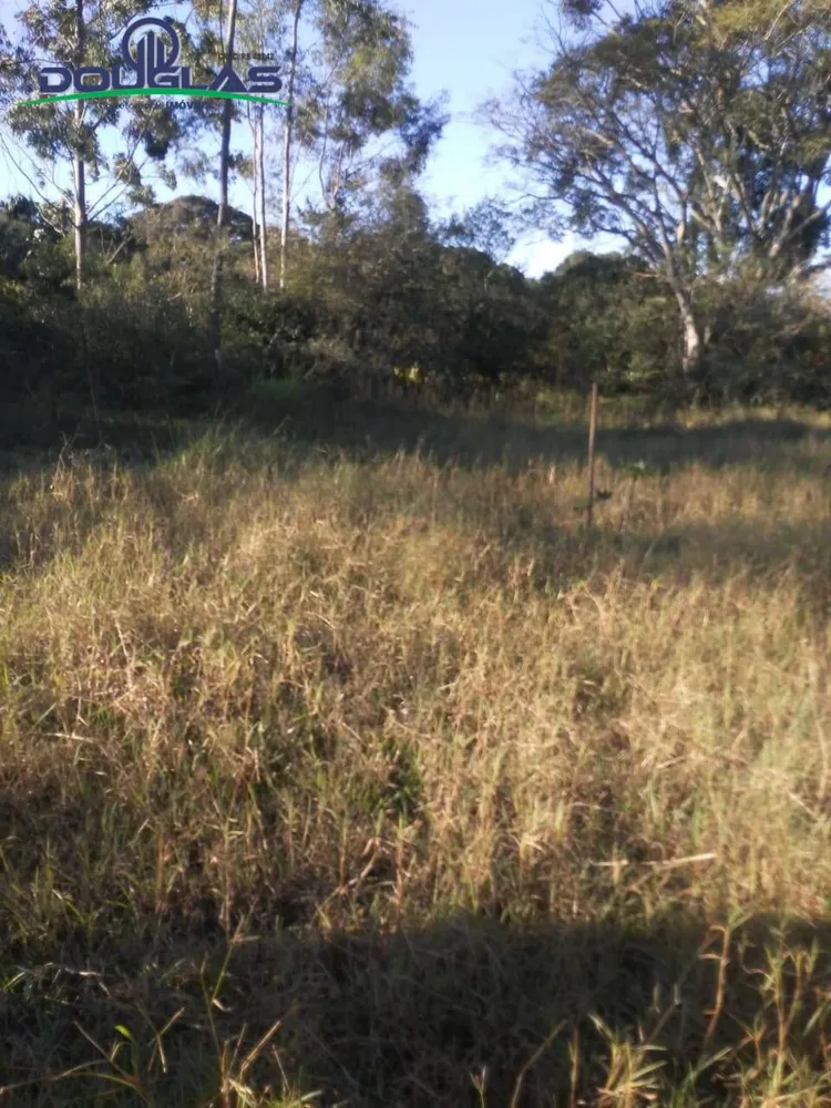Sítio, 3 quartos, 7 hectares - Foto 1