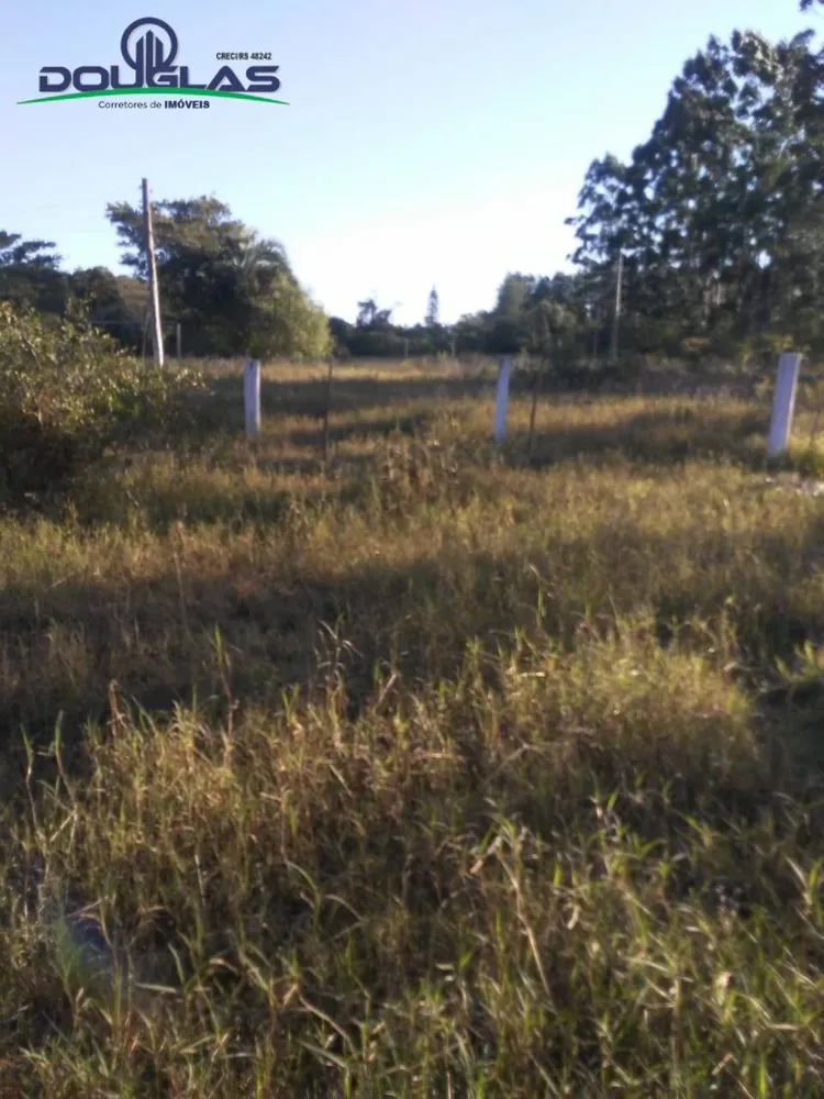 Sítio, 3 quartos, 7 hectares - Foto 6