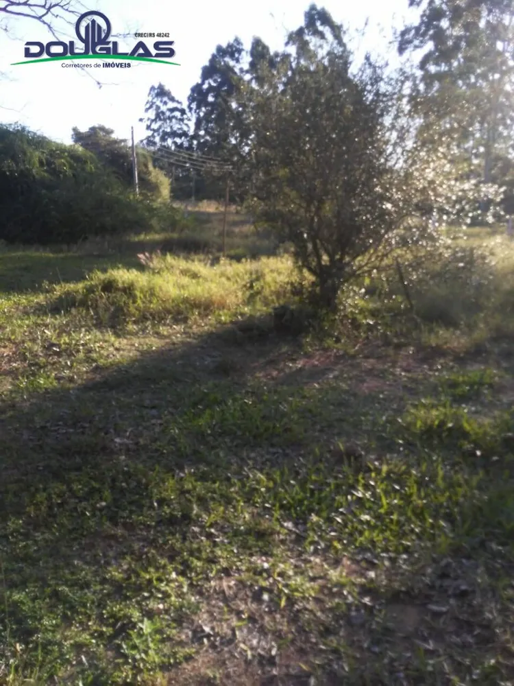 Sítio, 3 quartos, 7 hectares - Foto 8