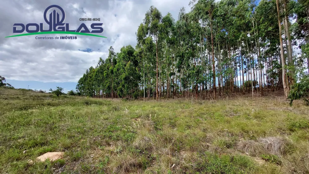 Terreno, 6 hectares - Foto 3