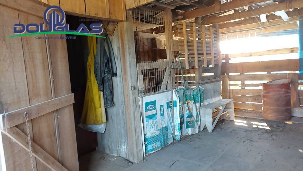 Sítio à venda com 1 quarto - Foto 4