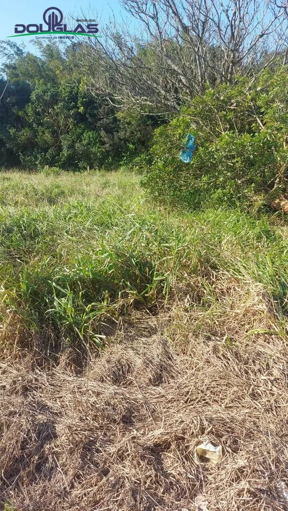 Terreno, 300 m² - Foto 6