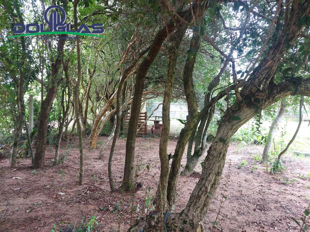 Casa - Foto 4