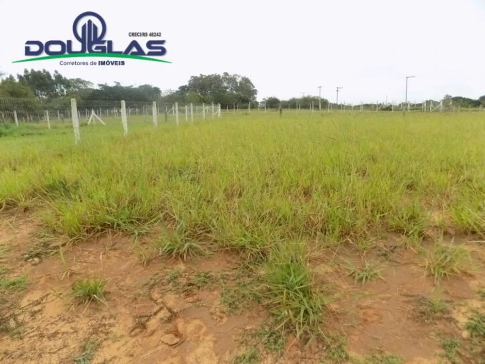 Terreno, 300 m² - Foto 3