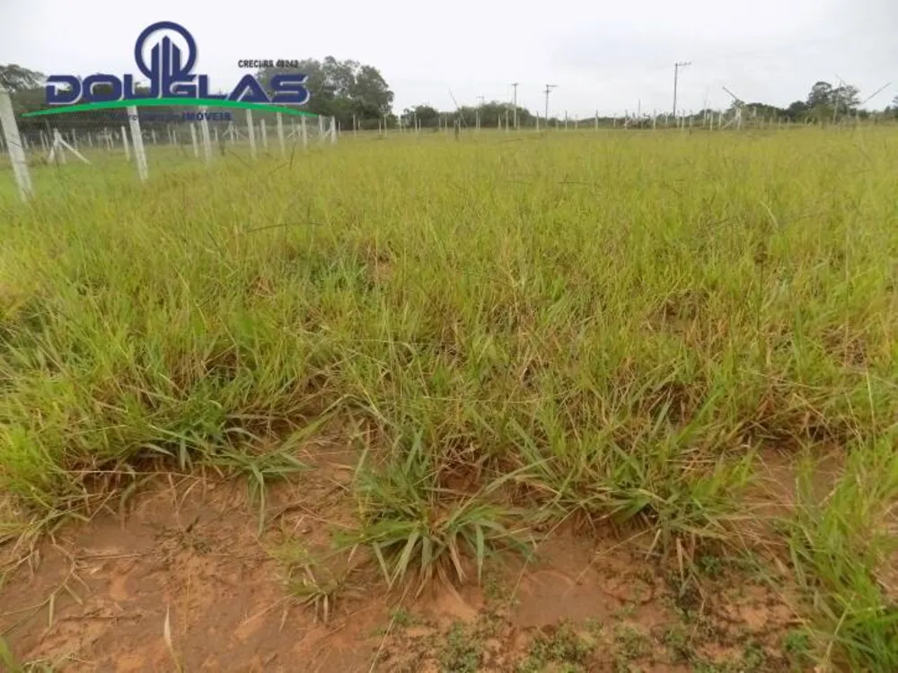 Terreno, 300 m² - Foto 4
