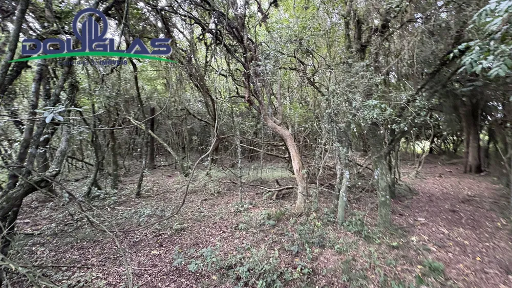 Terreno, 900 m² - Foto 6