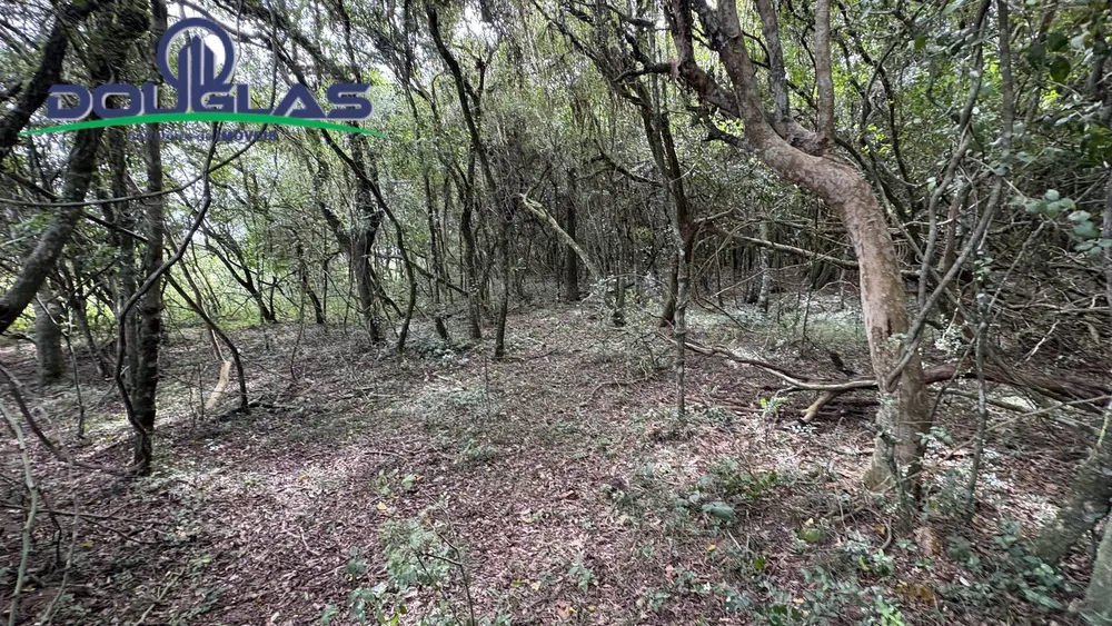 Terreno, 900 m² - Foto 5