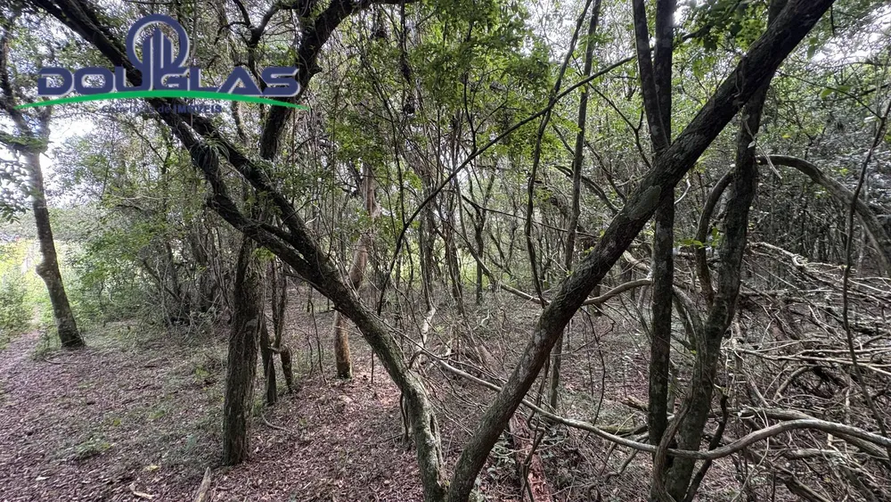 Terreno, 900 m² - Foto 7