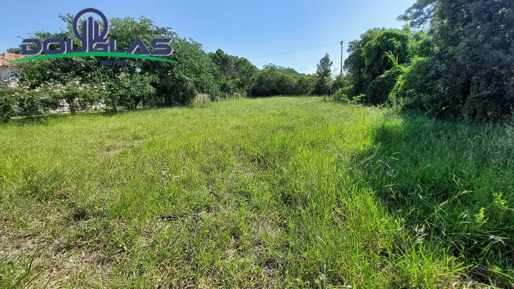 Terreno - Foto 4