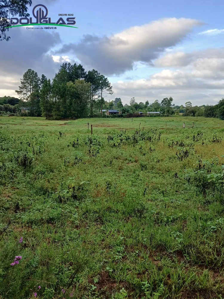 Terreno - Foto 2