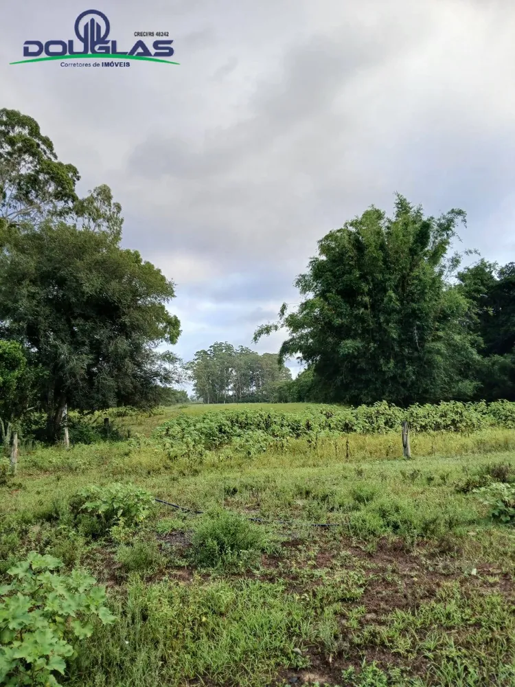 Terreno - Foto 1