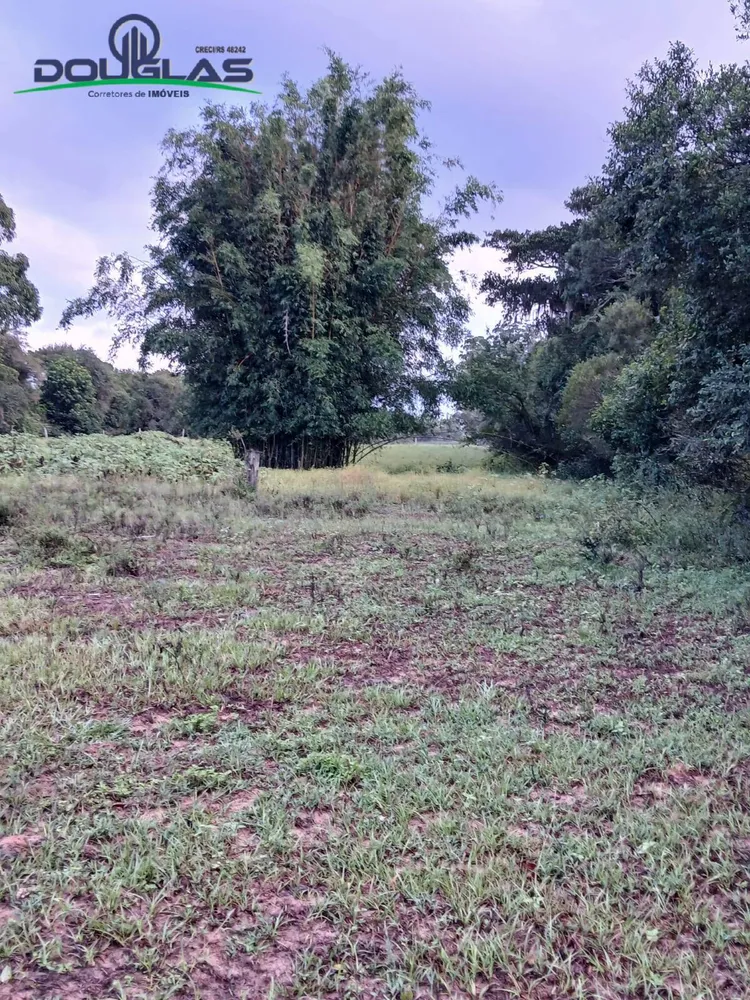 Terreno - Foto 3