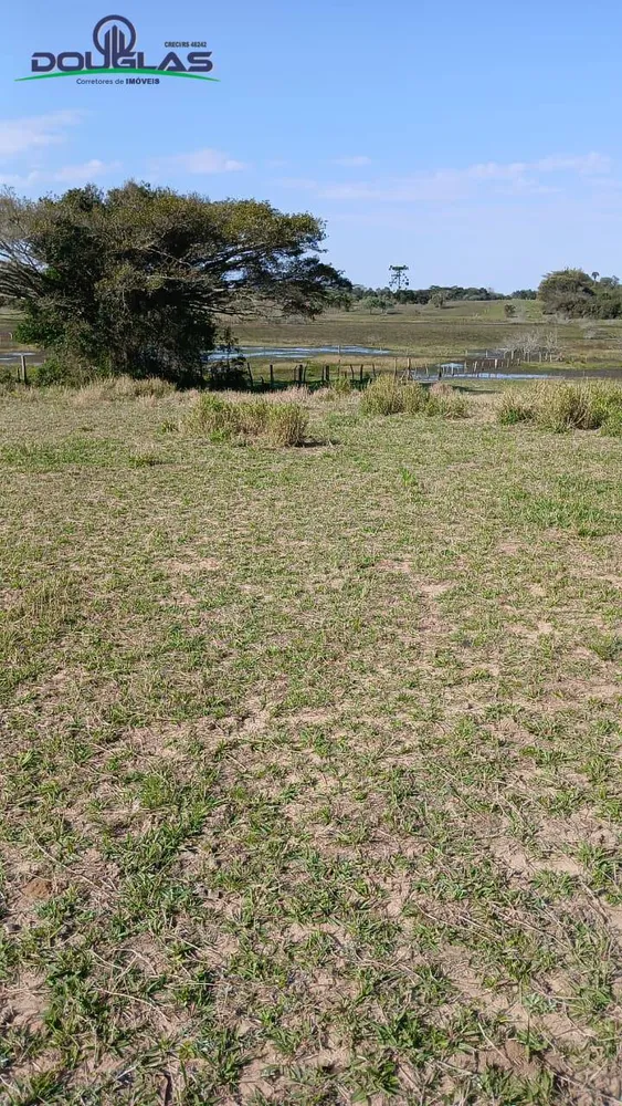 Terreno - Foto 4