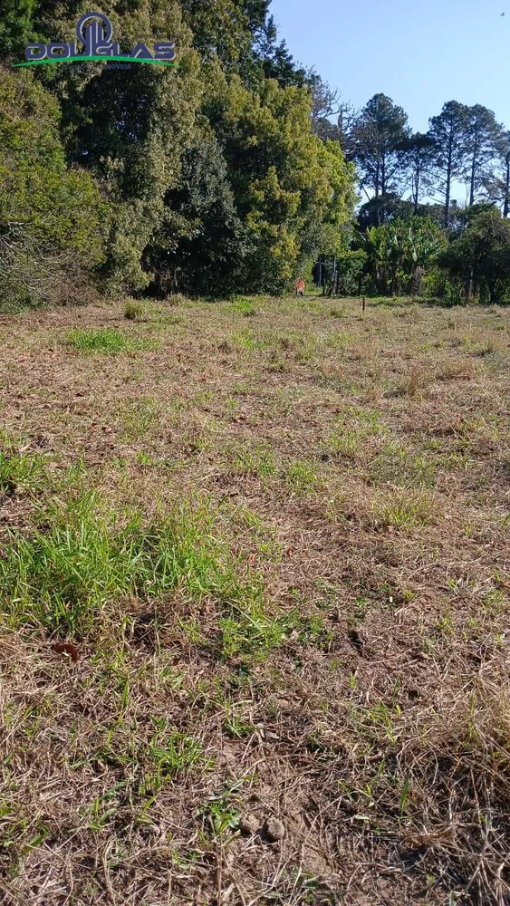 Terreno - Foto 5