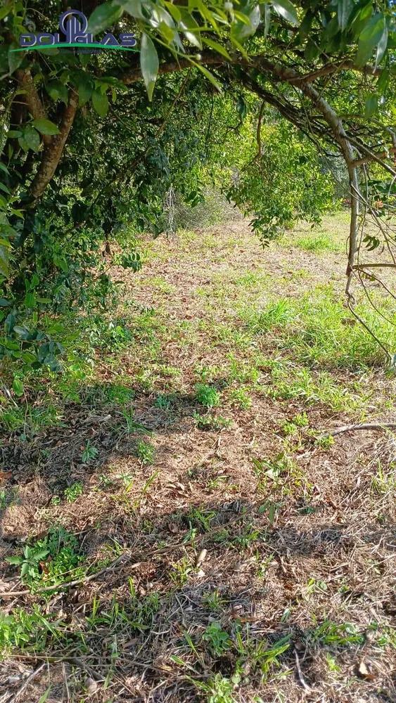 Terreno - Foto 3