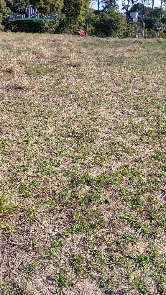 Terreno - Foto 6