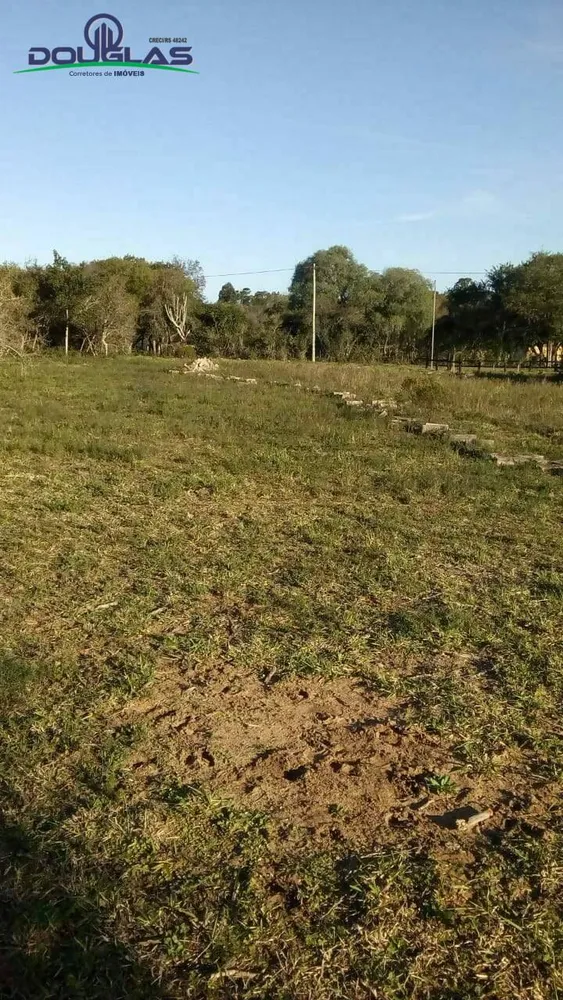 Terreno, 1000 m² - Foto 2