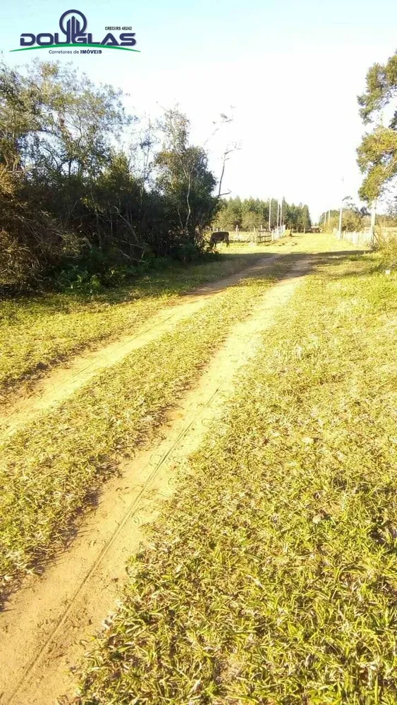Terreno, 1000 m² - Foto 7