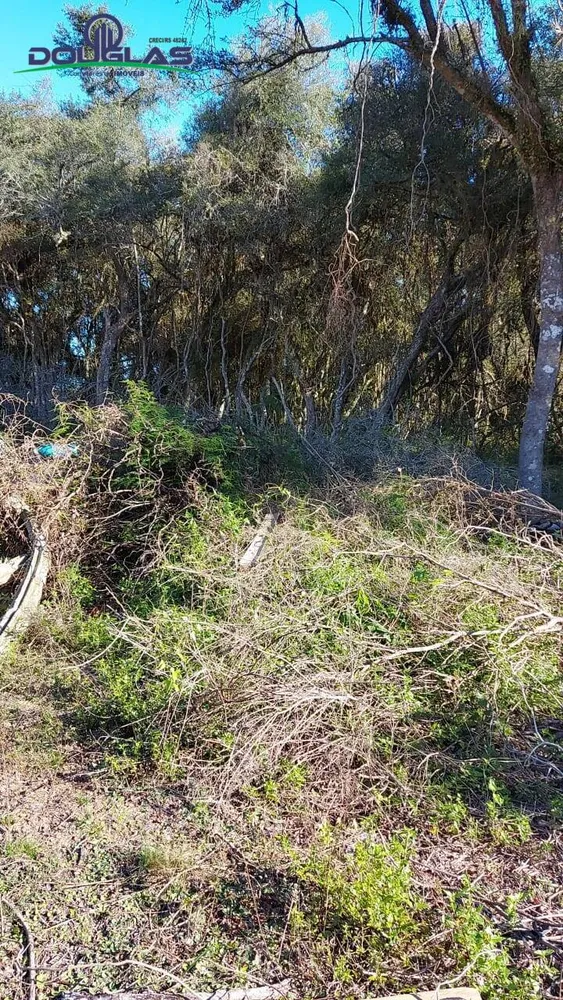 Terreno, 750 m² - Foto 5