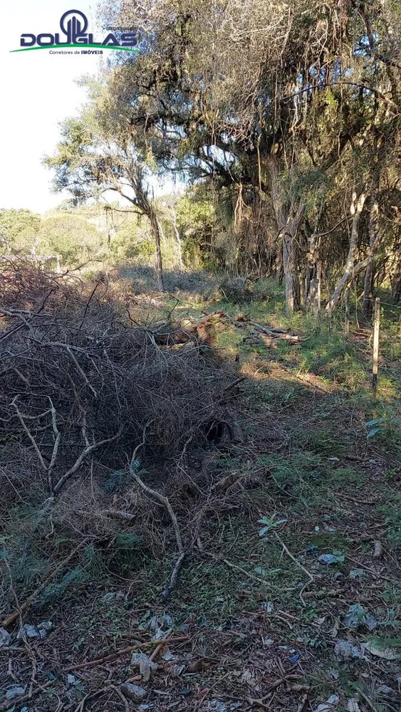 Terreno, 750 m² - Foto 2