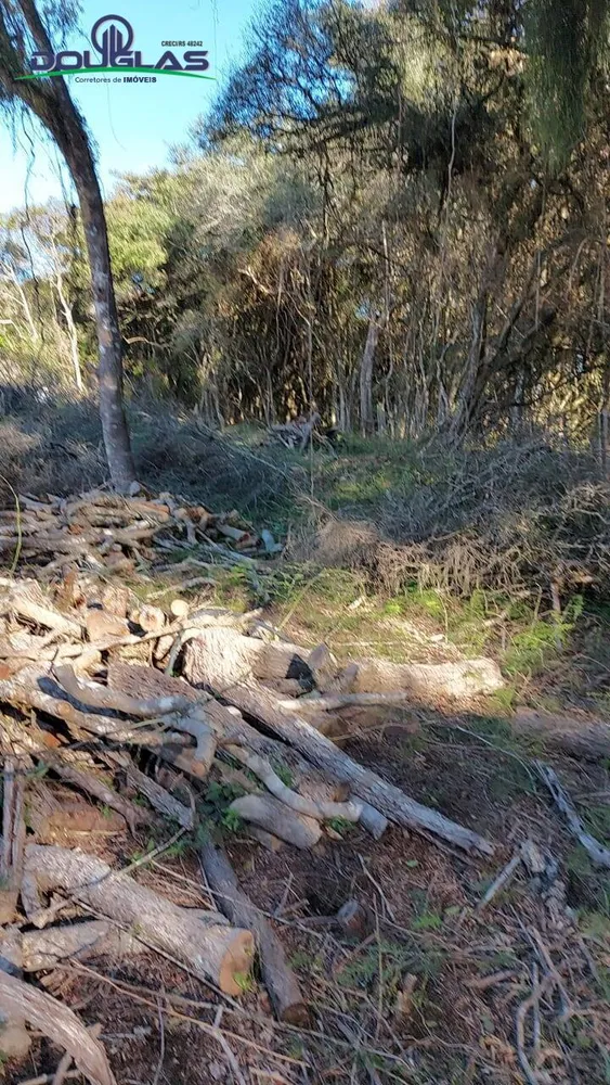 Terreno, 750 m² - Foto 6