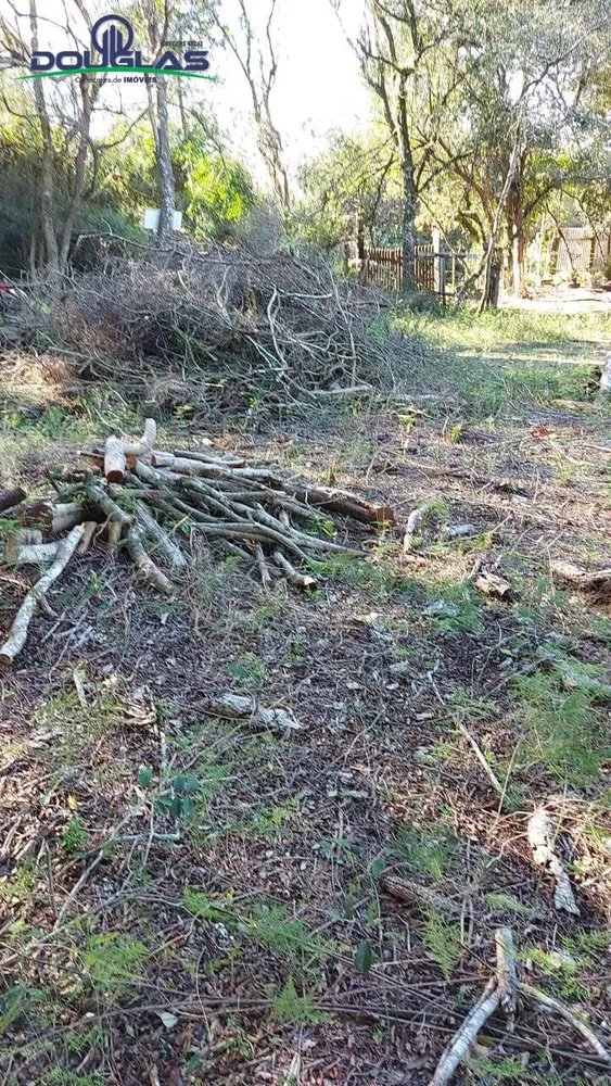 Terreno, 750 m² - Foto 8