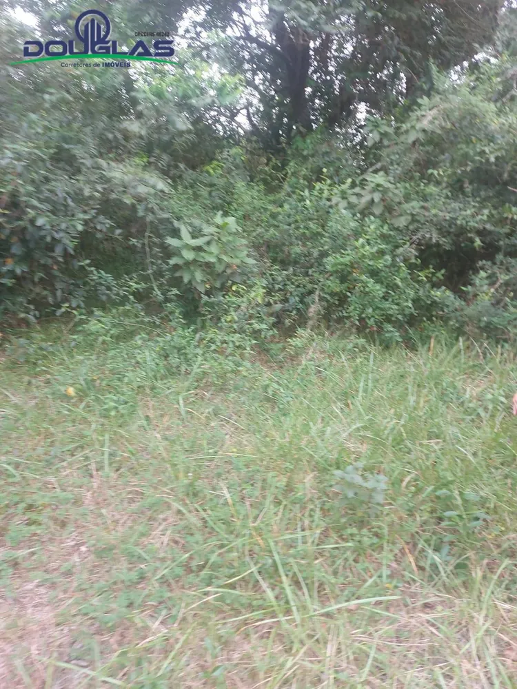 Prédio Inteiro - Foto 6