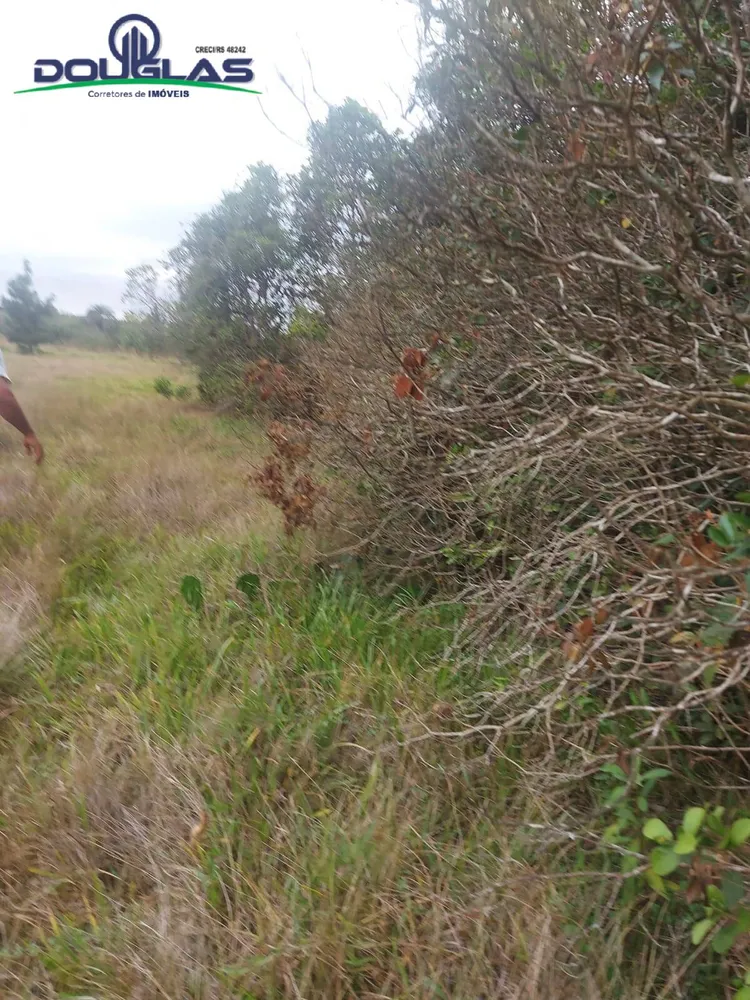 Prédio Inteiro - Foto 2