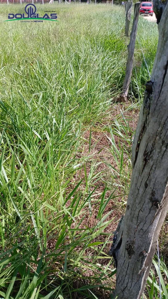 Terreno, 1550 m² - Foto 5