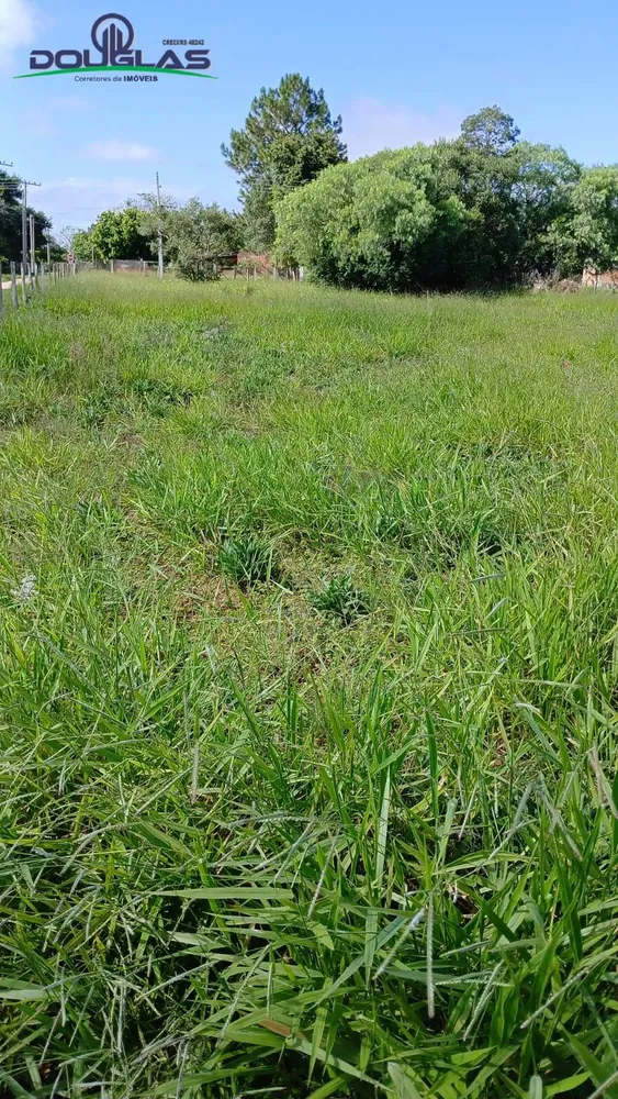 Terreno, 1550 m² - Foto 8