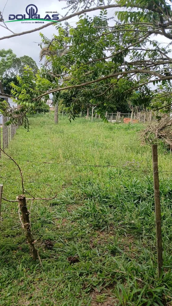 Terreno, 360 m² - Foto 6